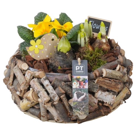 <h4>PTBM3145 Arrangementen Tuinplanten</h4>