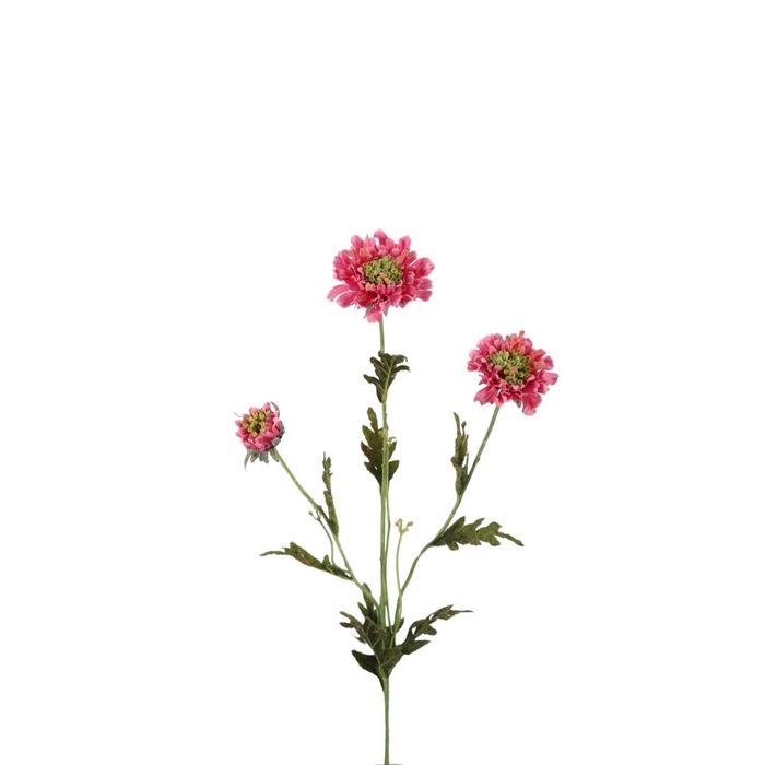 Artificial flowers Scabiosa 66cm