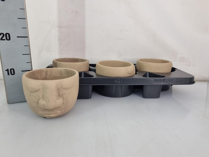 <h4>TERRACOTTA SCHAAL FACE D13XH11</h4>