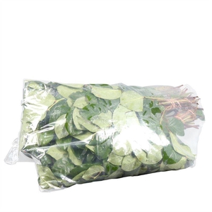 Salal Tip X3 Flowpack