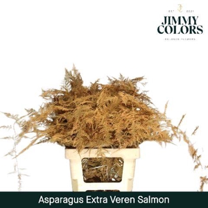 Aspa extra veren Salmon