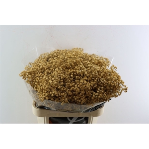 Gyps Grof Cappuccino (dip)