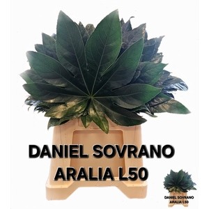 FATSIA JAPONICA BLAD