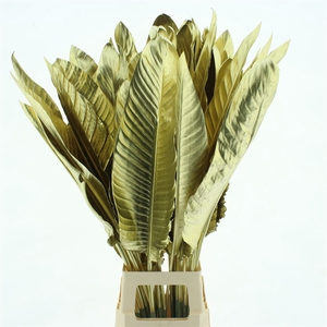 Strelit Blad 100cm Goud