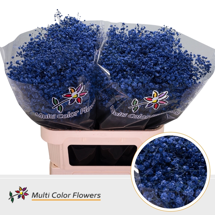 <h4>Gyps Grof Blauw Donker</h4>