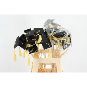 Stick Graduate Cap Felt