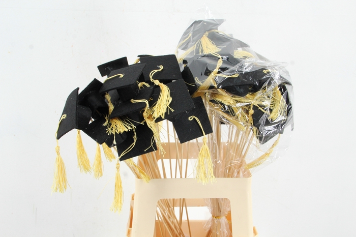 <h4>Stick Graduate Cap Felt</h4>