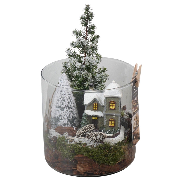 <h4>Arr. Kerst L%</h4>