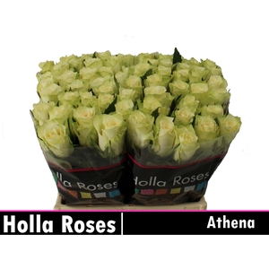R GR ATHENA