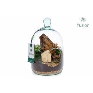 Green Bottle Novella Small met arrangement