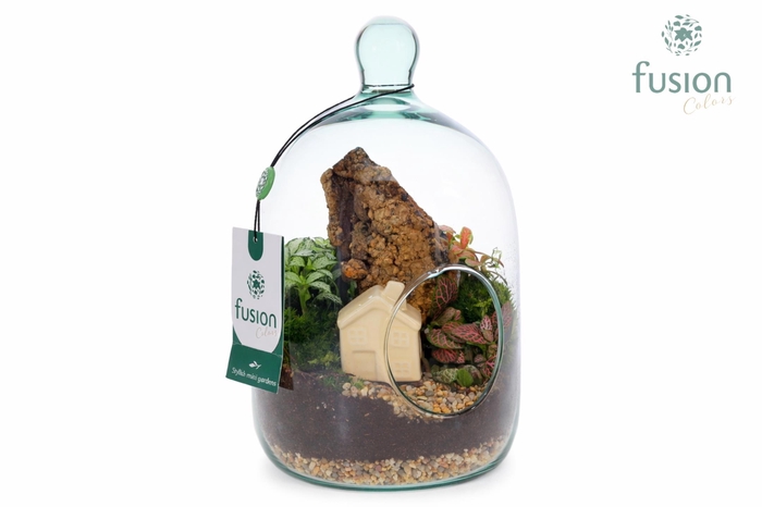 <h4>Green Bottle Novella Small met arrangement</h4>