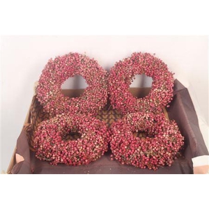 Krans Schinus 15cm X4