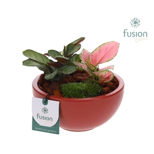 Schaal keramiek Moon Small marsala rood met groene planten