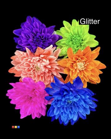 Chr T Baltica Mix 6 Colors + Glit Bio