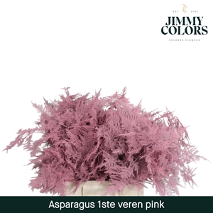 Aspa 1ste veren Pink