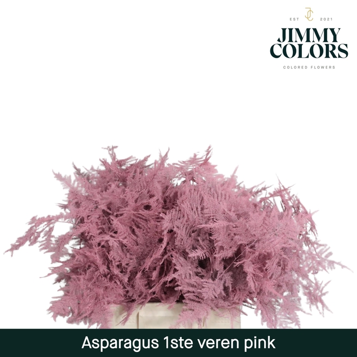 <h4>Aspa 1ste veren Pink</h4>