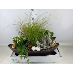 Arr.   Tuinplanten L%