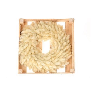 Wr Lagurus Bleached D30