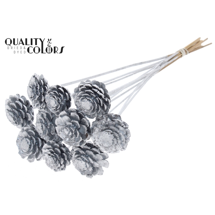 <h4>Pine cone cut 5-7cm on stem Silver</h4>