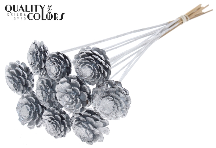Pine cone cut 5-7cm on stem Silver