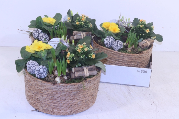 <h4>ARR PL IN SCHAAL</h4>