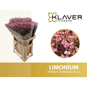 LIM SIN TIFFANY DIAM