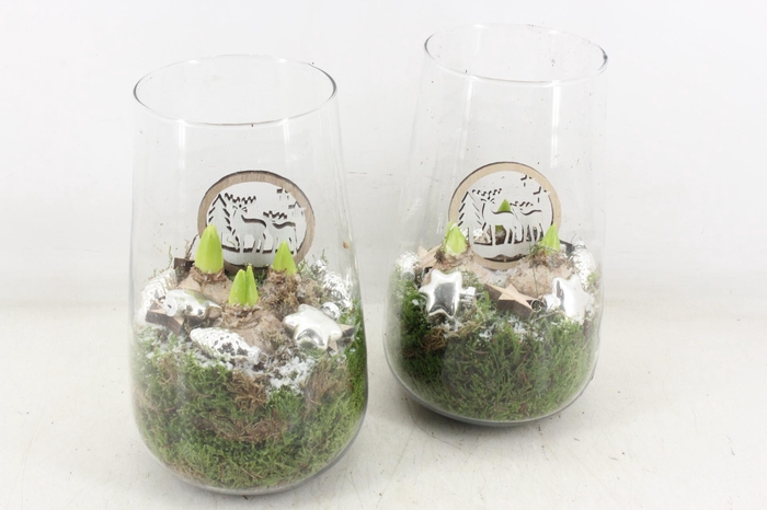 <h4>arr4 Hyacint JS - Glas hoog Zilver</h4>