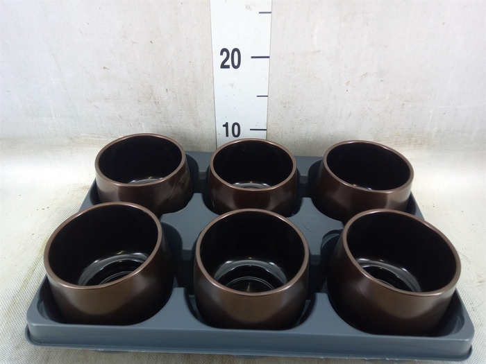 <h4>Pot   ...Keramische H%</h4>