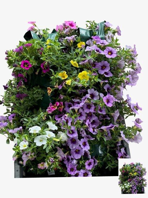 <h4>HANGING BASKETS</h4>
