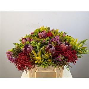 Protea Boeket Tinted