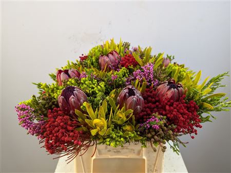 <h4>Protea Boeket Tinted</h4>