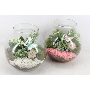 arr2 PL - Bolglas nek XL - roze/wit