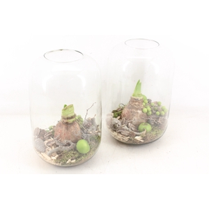 arr4 Amaryllis MB - Bullit vaas 285/6