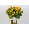 Helianthus Orange Fire