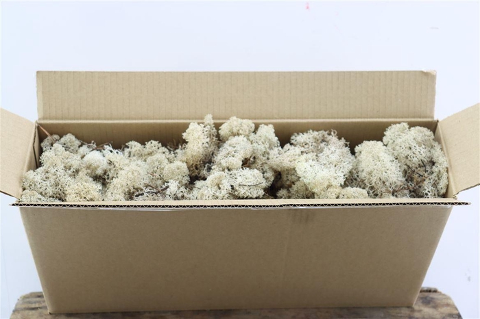 Mos Reindeer Moss Natural 450gr