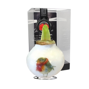 Amaryllis Touch of Wax Porcelain Robin 6x1, rode bloem, Plastic Giftbox, Tray236