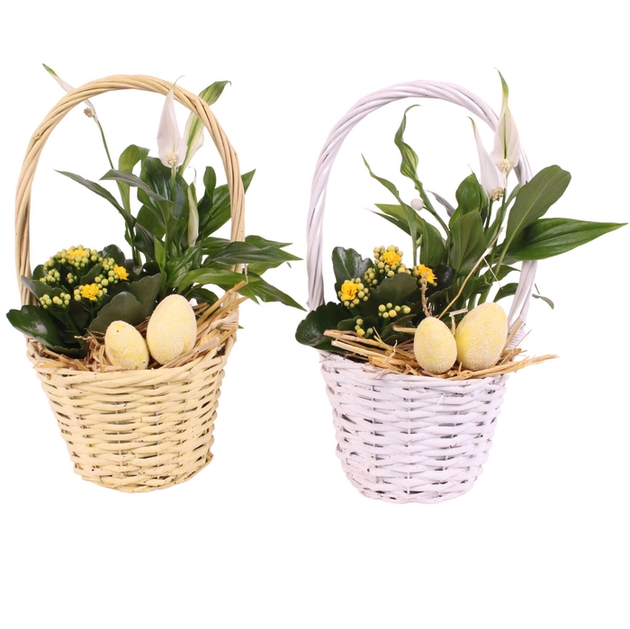 <h4>Easter Arr. Indoor Willow Handle Basket Yel/White Ø17cm 2PP</h4>