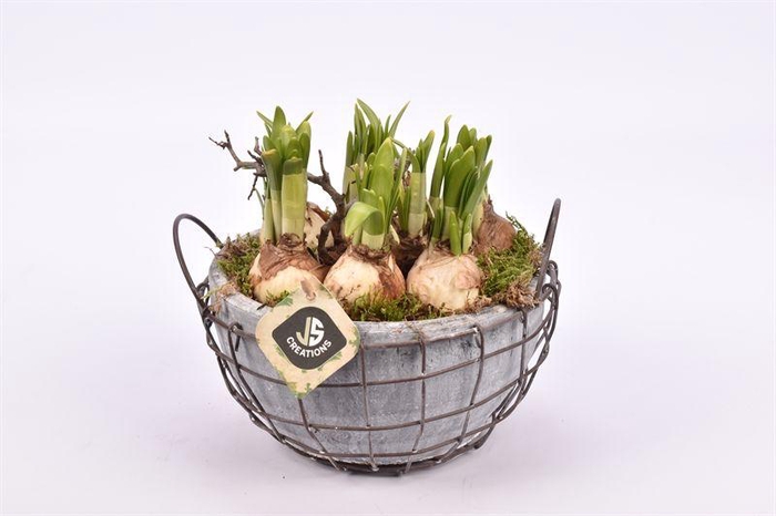 <h4>Gaasmand met terra schaal gy 21cm</h4>