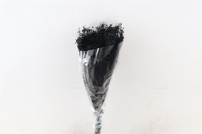 <h4>Dried Brooms Black Bunch</h4>