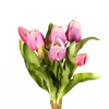 AF Tulip bundle x7 L30cm pink