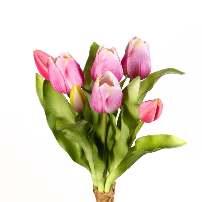 AF Tulip bundle x7 L30cm pink