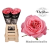 R GR MADEMOISELLE