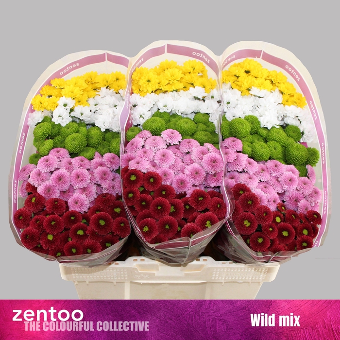 <h4>CHR S MIX WILD</h4>