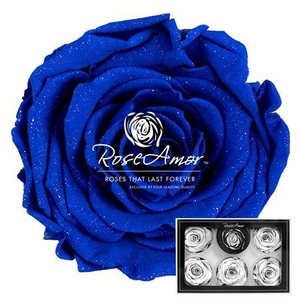 Xl Diamond Dust Blu03