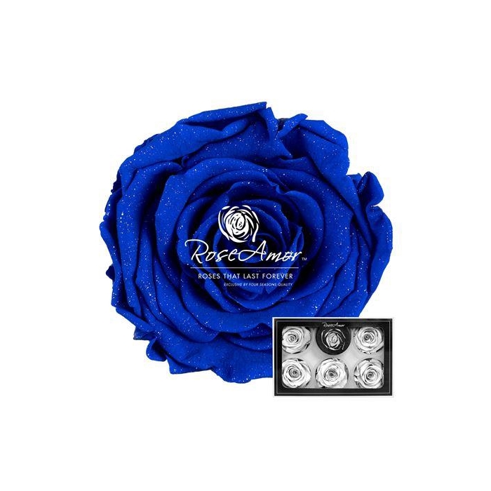 <h4>Xl Diamond Dust Blu03</h4>