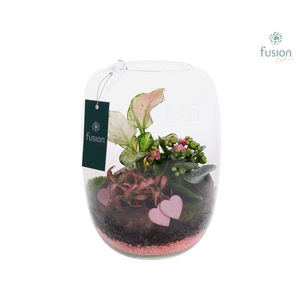 Green Bottle Isabella Large Love met arrangement