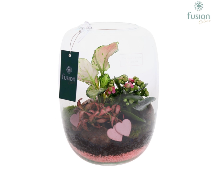 <h4>Green Bottle Isabella Large Love met arrangement</h4>