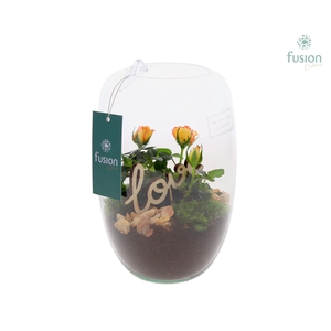 Green Bottle Isabella Small Love met arrangement