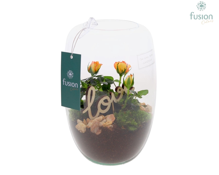 <h4>Green Bottle Isabella Small Love met arrangement</h4>