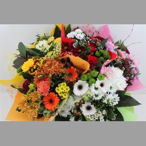 Boeket Germini Mix (5 Kleuren)